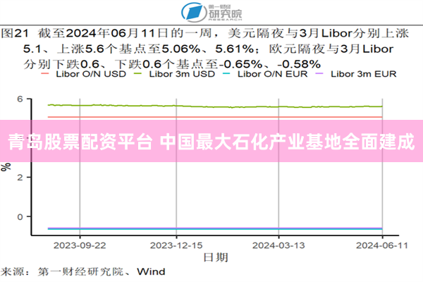 青岛股票配资平台 中国最大石化产业基地全面建成