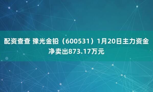 配资查查 豫光金铅（600531）1月20日主力资金净卖出873.17万元