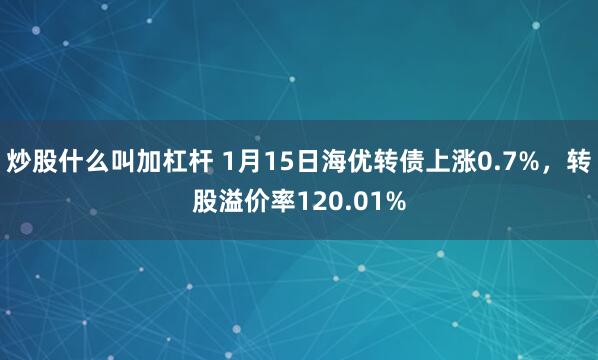 炒股什么叫加杠杆 1月15日海优转债上涨0.7%，转股溢价率120.01%