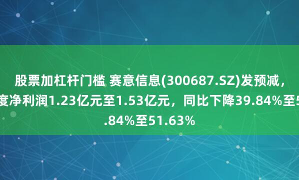 股票加杠杆门槛 赛意信息(300687.SZ)发预减，预计年度净利润1.23亿元至1.53亿元，同比下降39.84%至51.63%