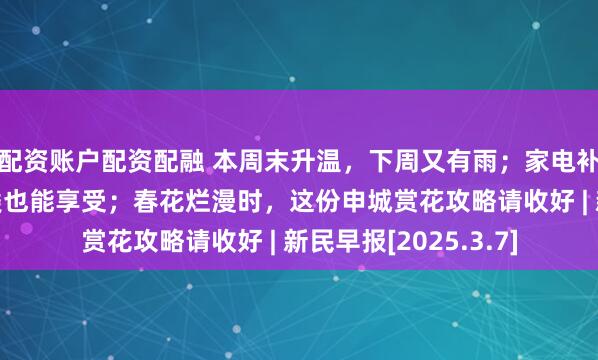 配资账户配资配融 本周末升温，下周又有雨；家电补贴上新，这些新品类也能享受；春花烂漫时，这份申城赏花攻略请收好 | 新民早报[2025.3.7]