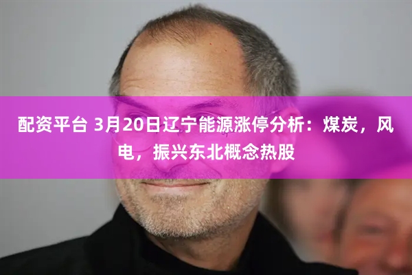 配资平台 3月20日辽宁能源涨停分析：煤炭，风电，振兴东北概念热股