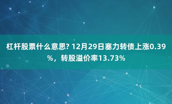 杠杆股票什么意思? 12月29日塞力转债上涨0.39%，转股溢价率13.73%